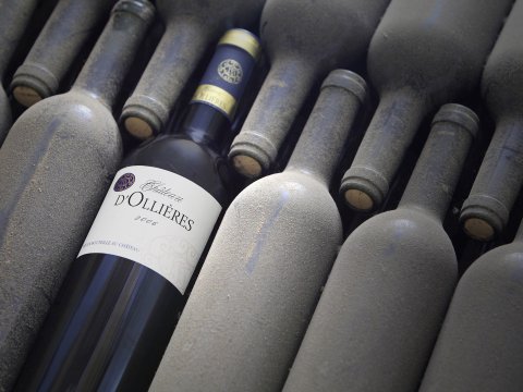 chateau dollieres 22